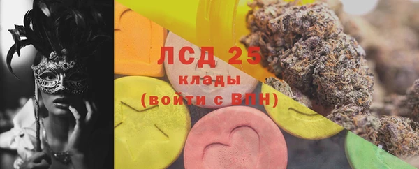 дживик Верея