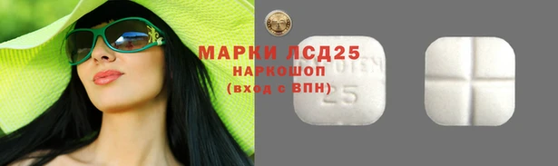 СК Верхний Тагил